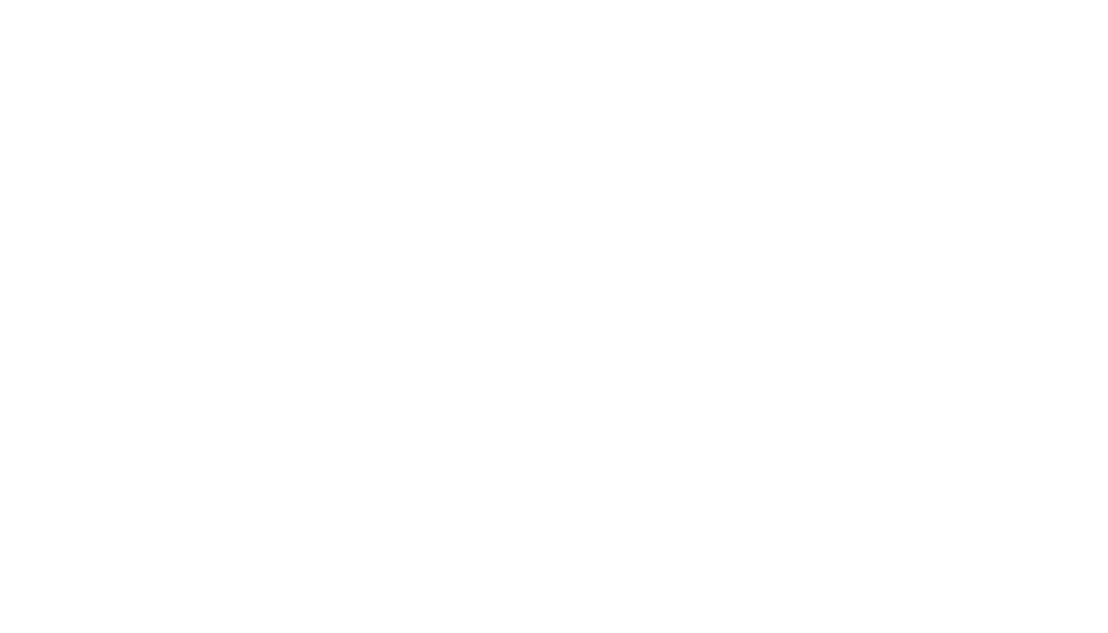 Carrot Media